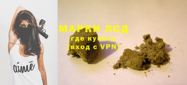 ГАЛЛЮЦИНОГЕННЫЕ ГРИБЫ Няндома