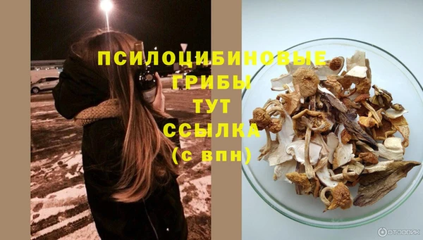 скорость Новодвинск