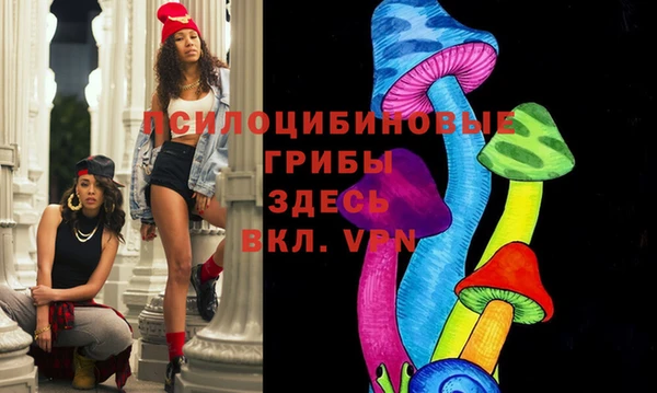 a pvp Новокубанск