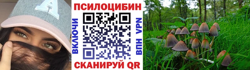 Галлюциногенные грибы MAGIC MUSHROOMS  МЕГА зеркало  Ликино-Дулёво 